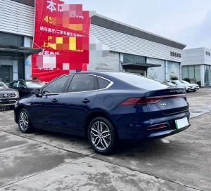 BYD Qin PLUS DM