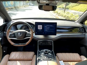 BYD Tang DM