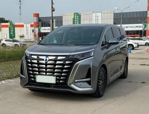 Denza D9 DM