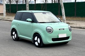 Changan Lumin