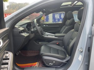 Geely Preface (Xing Rui)