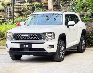 Haval H-Dog (Big Dog PLUS)
