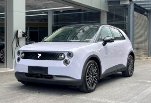 NIO Firefly