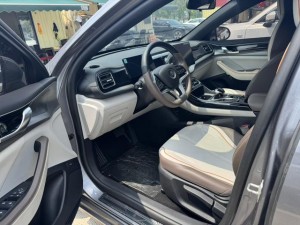 BYD Qin PLUS EV