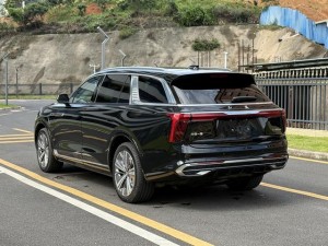 Hongqi E-HS9