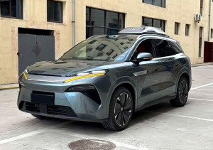 BYD Tang L DM