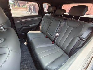 BYD Song Pro DM