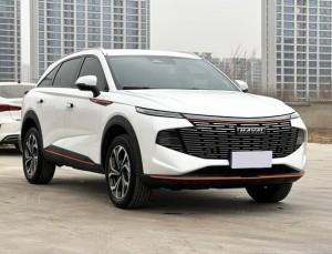 Haval Shenshou (Beast)