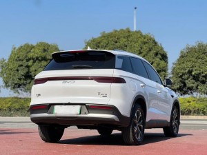 BYD Song Pro DM