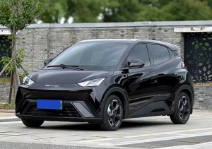 BYD Seagull