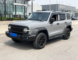 Tank 300