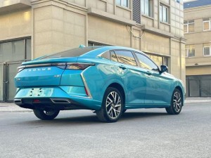Dongfeng Yixuan