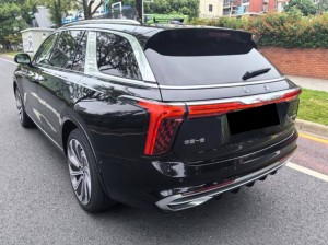 Hongqi E-HS9