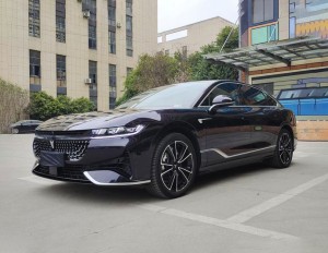 Voyah Passion PHEV