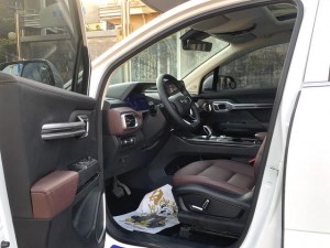 Geely Okavango