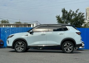 Wuling Asta (Star)