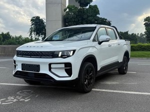 Geely Radar King Kong PHEV