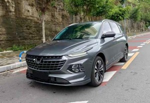 Wuling Capgemini Victory