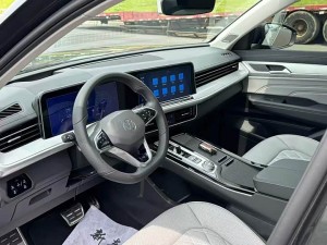 Volkswagen Tavendor