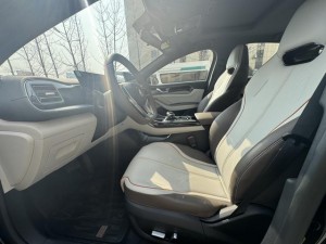 BYD Qin PLUS DM
