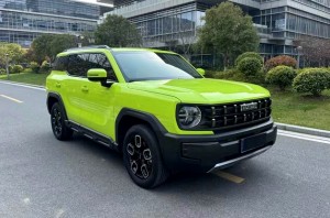 Haval Cool Dog KuGou
