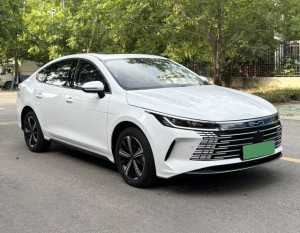BYD Destroyer 05