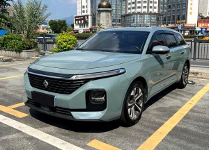 Baojun Valli