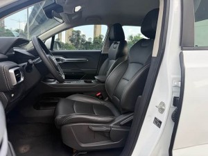 Geely Radar King Kong PHEV