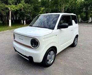 Geely Panda