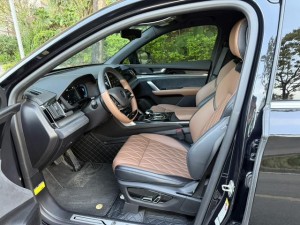 BYD Tang DM
